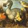 History - The Dodo Bird